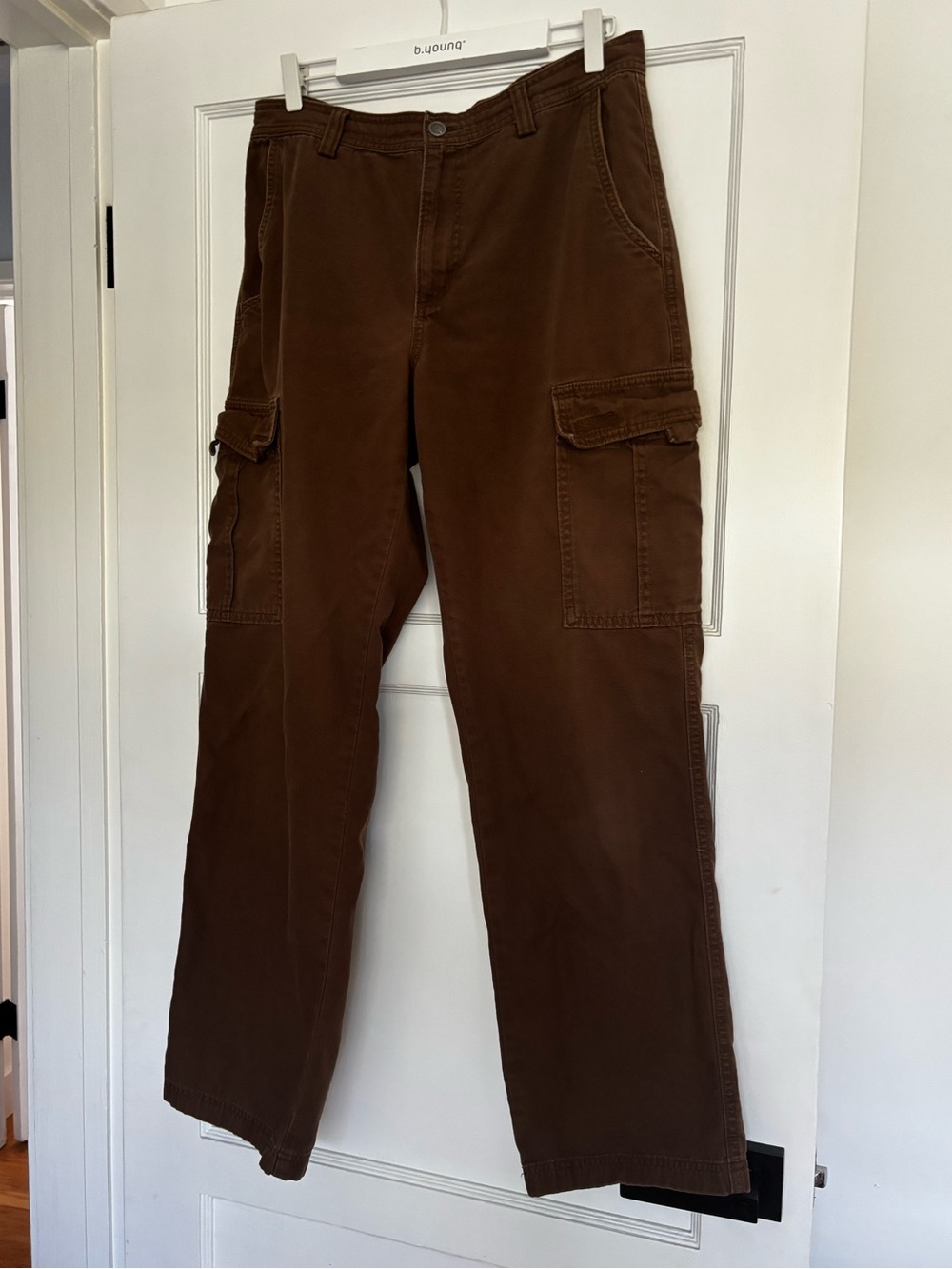 The North Face Brown Cargo Pants with Utility Pockets
